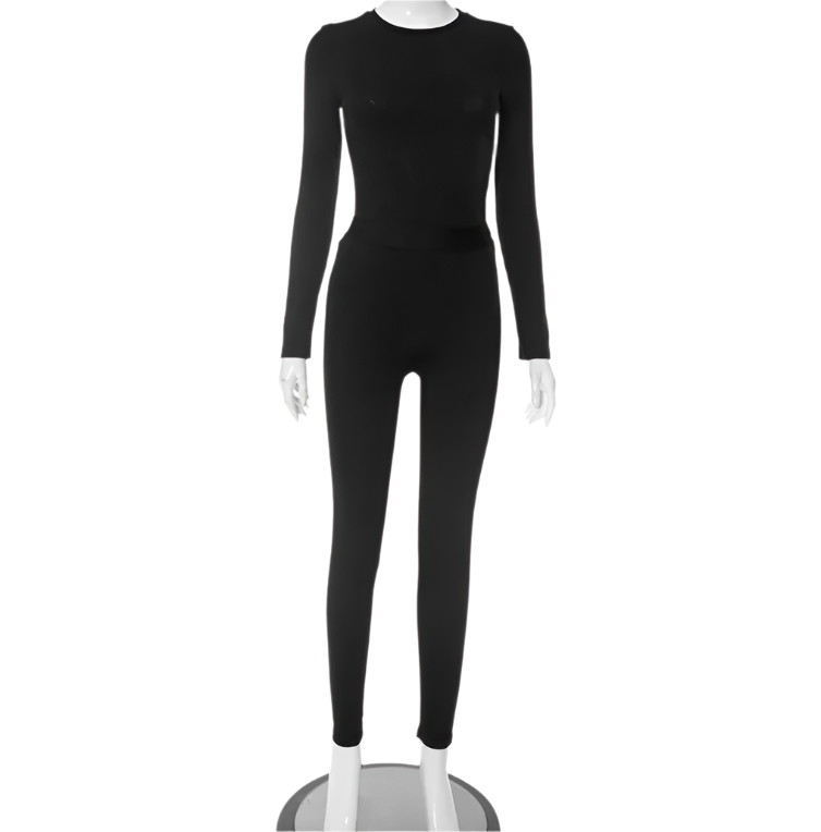 Bodycon Ribbed Long Sleeve 2 Piece Set