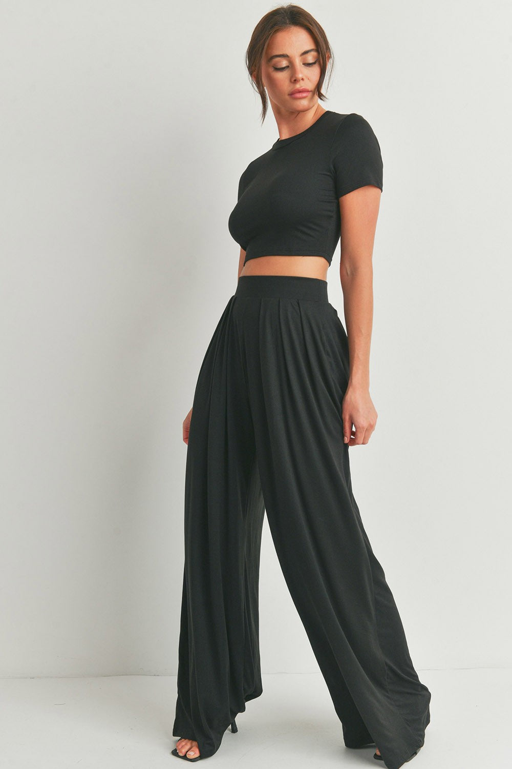 Crop Top and Wide Leg Palazzo Pants Set