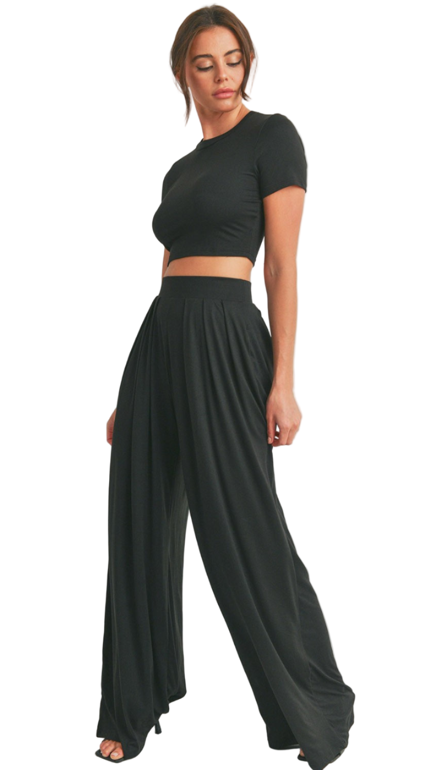Crop Top and Wide Leg Palazzo Pants Set