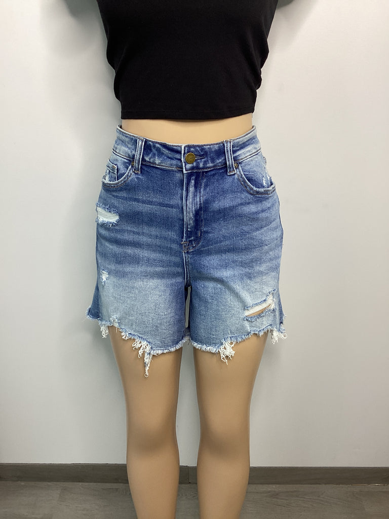 High Rise Distressed Shorts - Closet Space