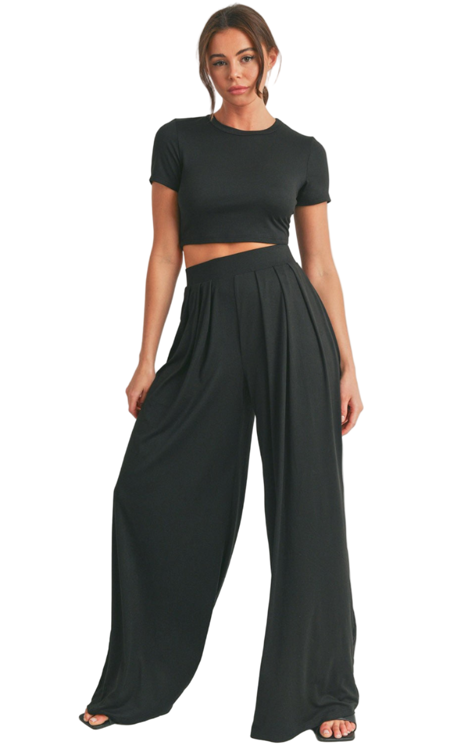 Crop Top and Wide Leg Palazzo Pants Set