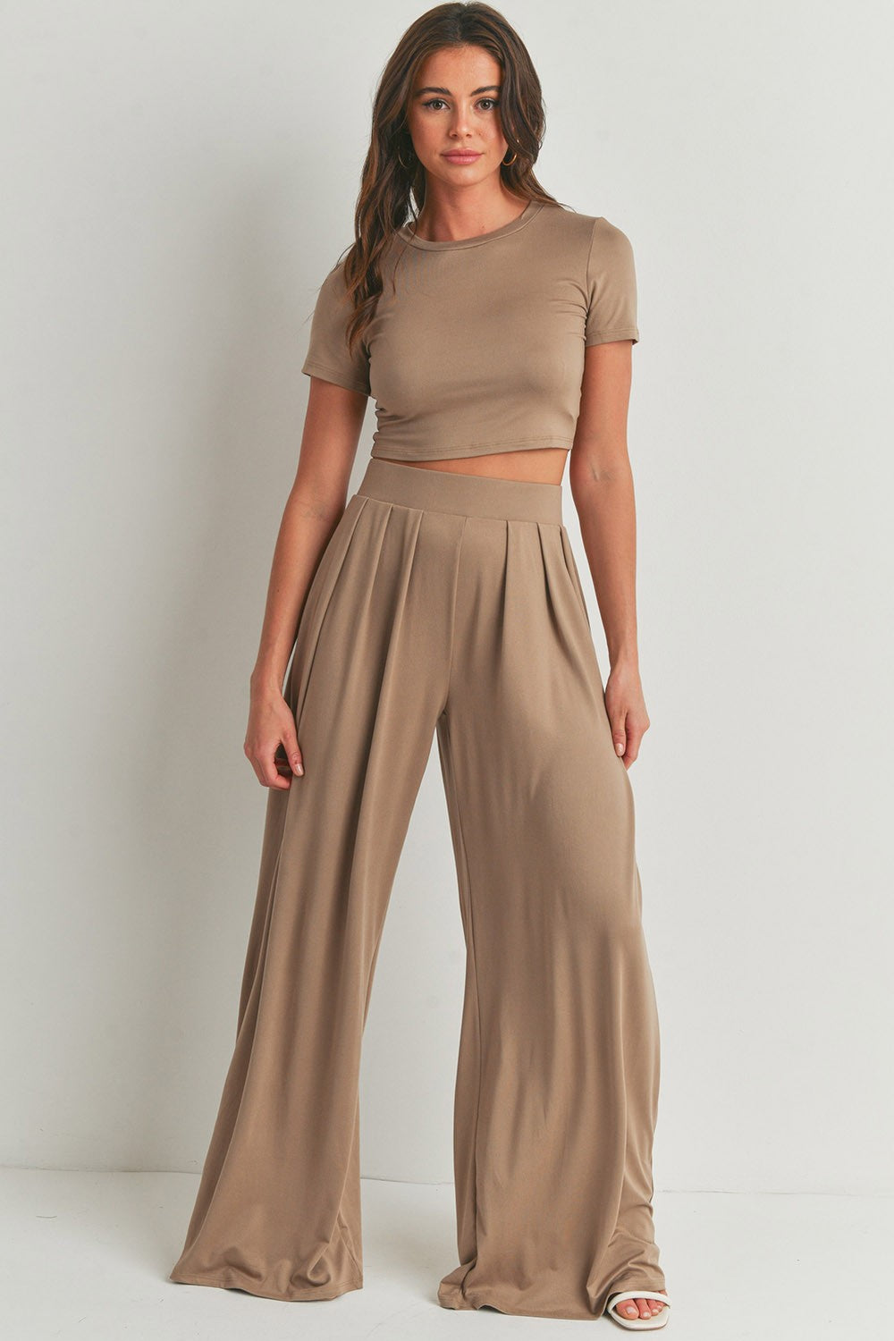 Crop Top and Wide Leg Palazzo Pants Set