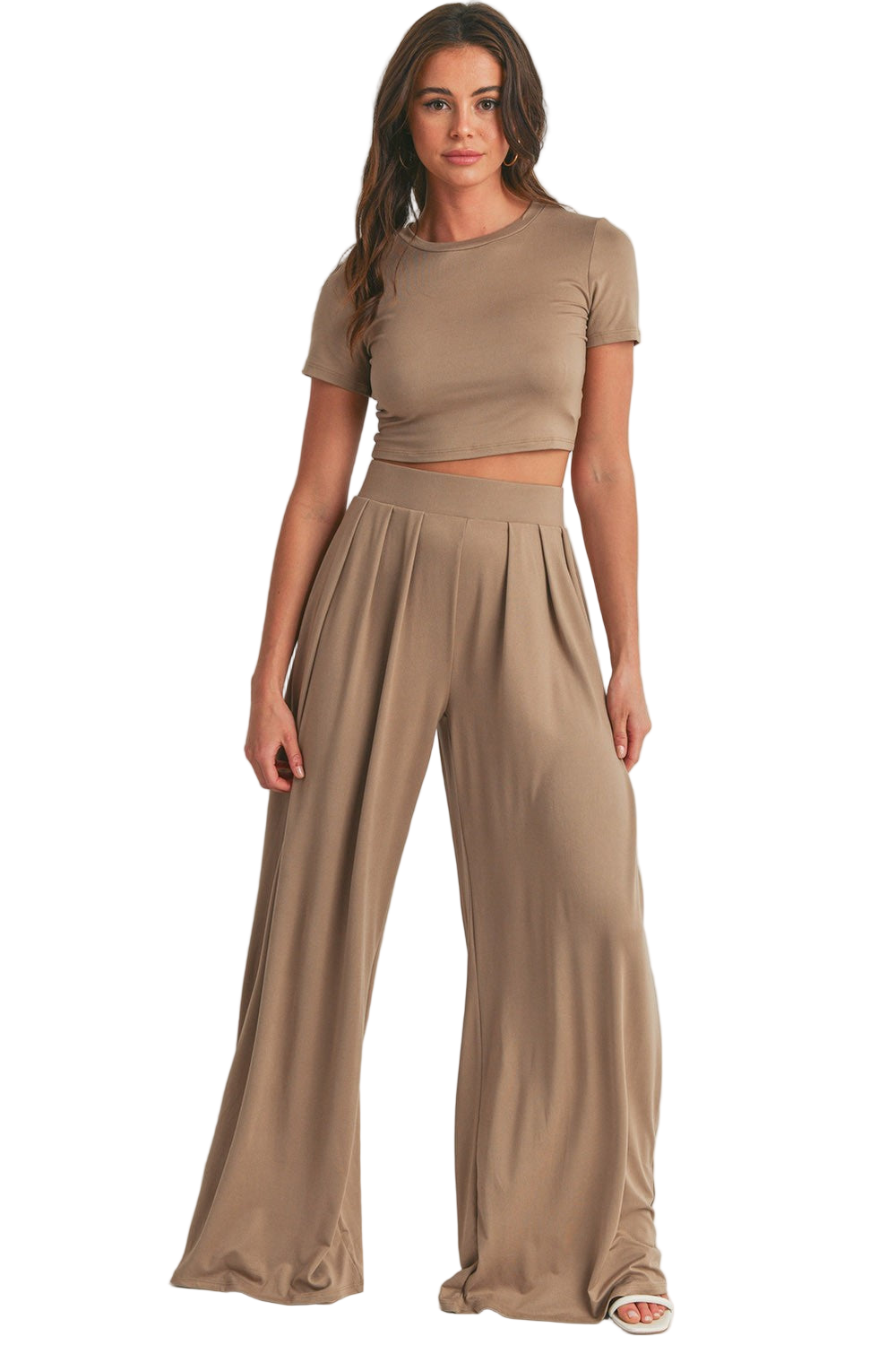 Crop Top and Wide Leg Palazzo Pants Set
