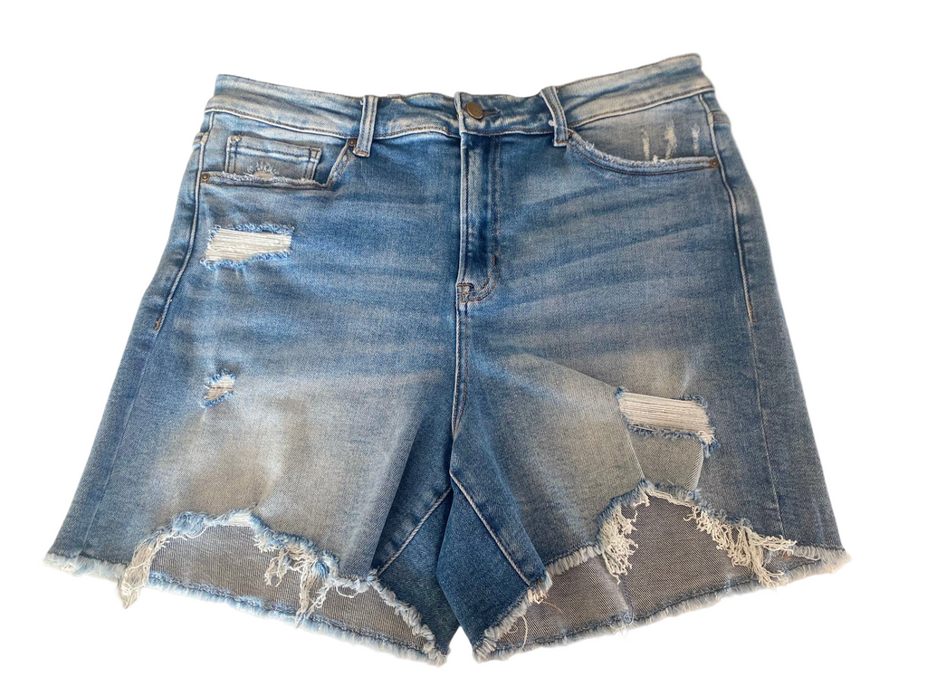 Curvy - High Rise Distressed Shorts