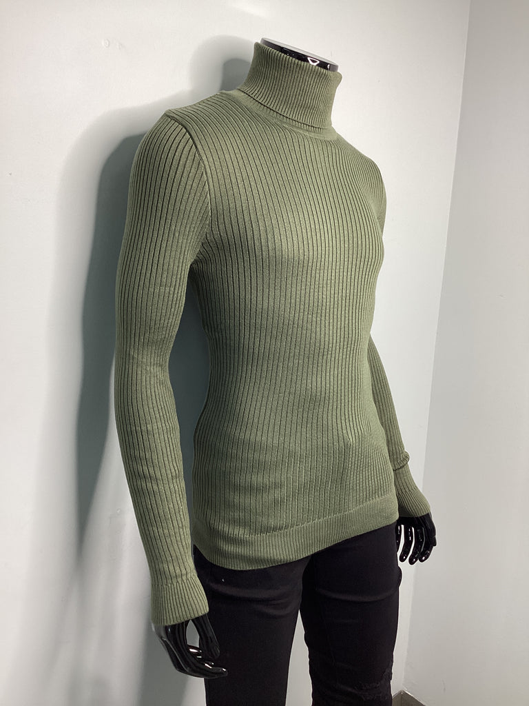 Solid Slim-Fit Turtleneck - Closet Space