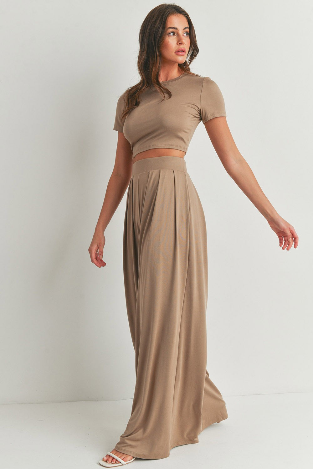Crop Top and Wide Leg Palazzo Pants Set