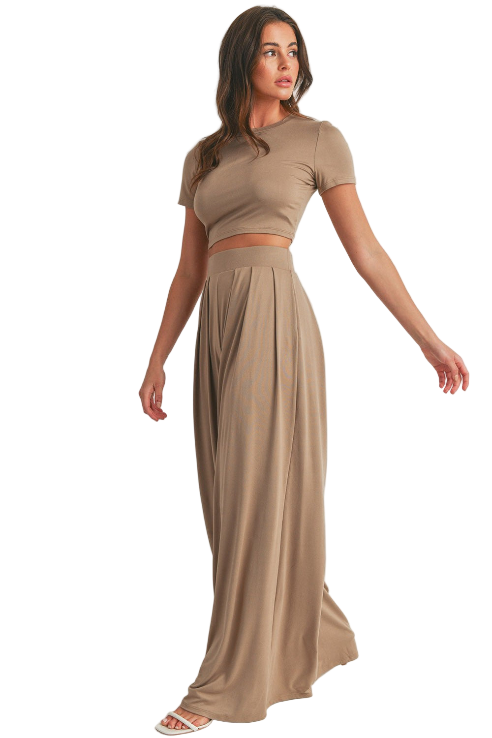 Crop Top and Wide Leg Palazzo Pants Set