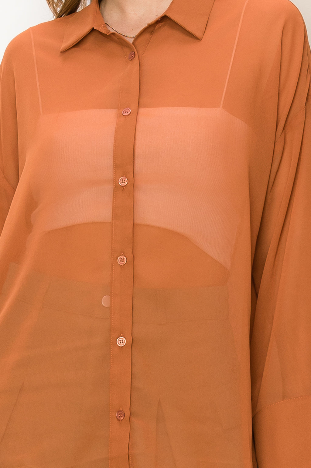 Hi-Lo Sheer Blouse - Closet Space