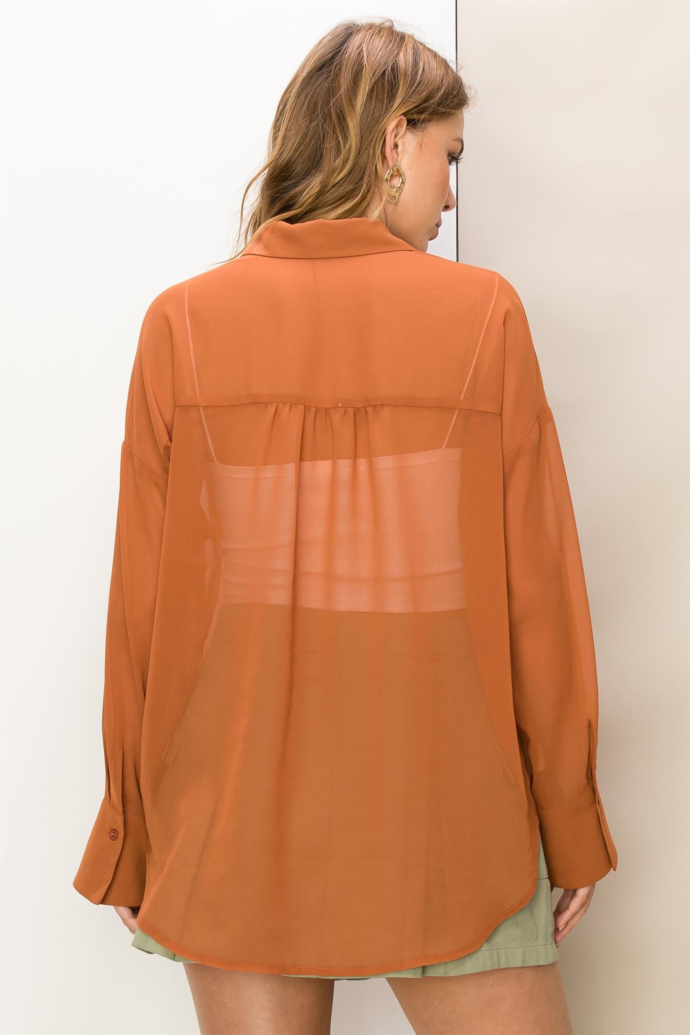 Hi-Lo Sheer Blouse - Closet Space