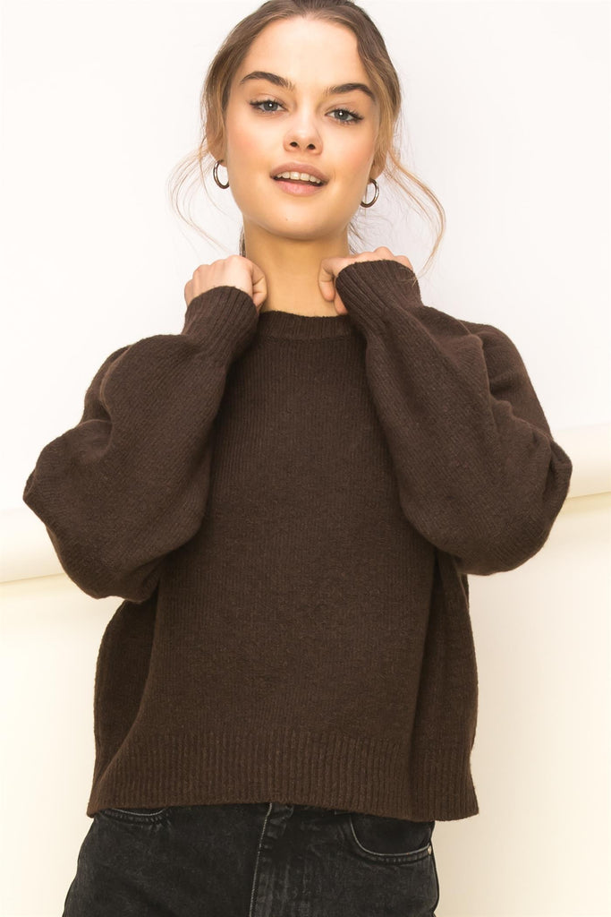 Ribbed Knit Crew Neck Long Dropped Shoulder Volume Sleeve Sweater - Closet Space